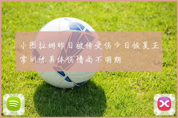 小图拉姆昨日被传受伤今日恢复正常训练具体伤情尚不明朗